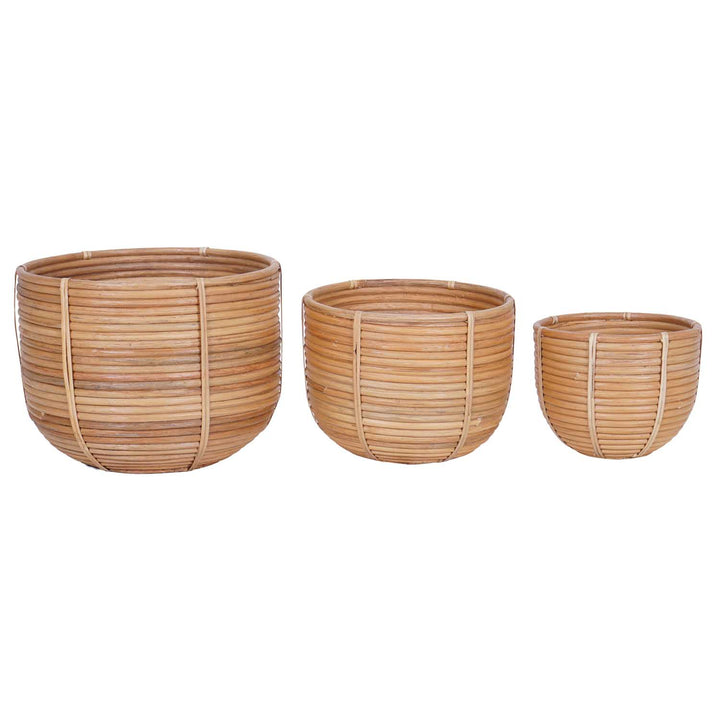 Rattan Korb Blumenkorb Cinta 3er Set