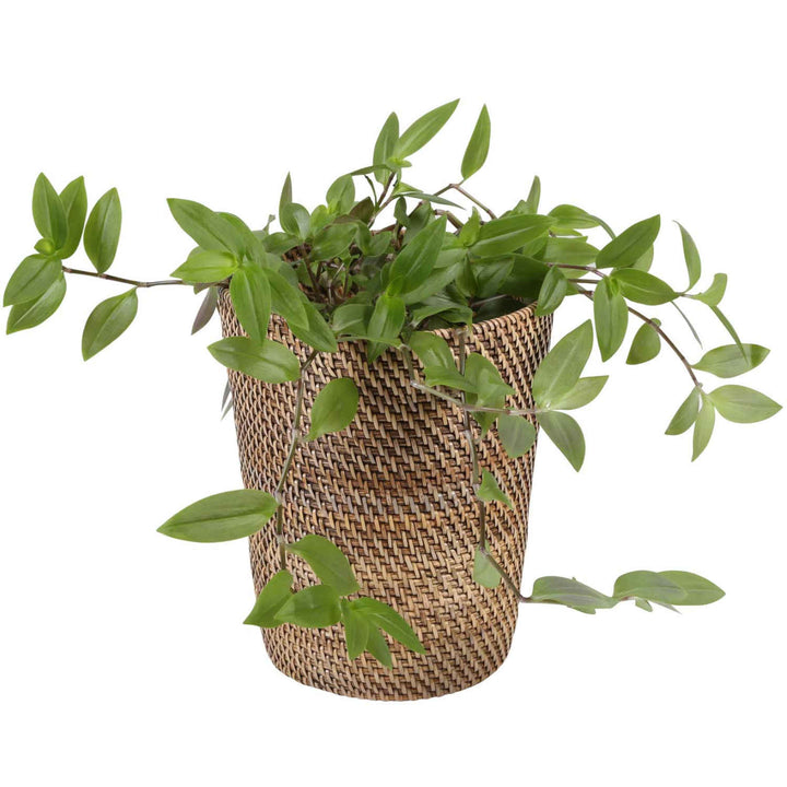 Papierkorb aus Rattan Nila Light Braun