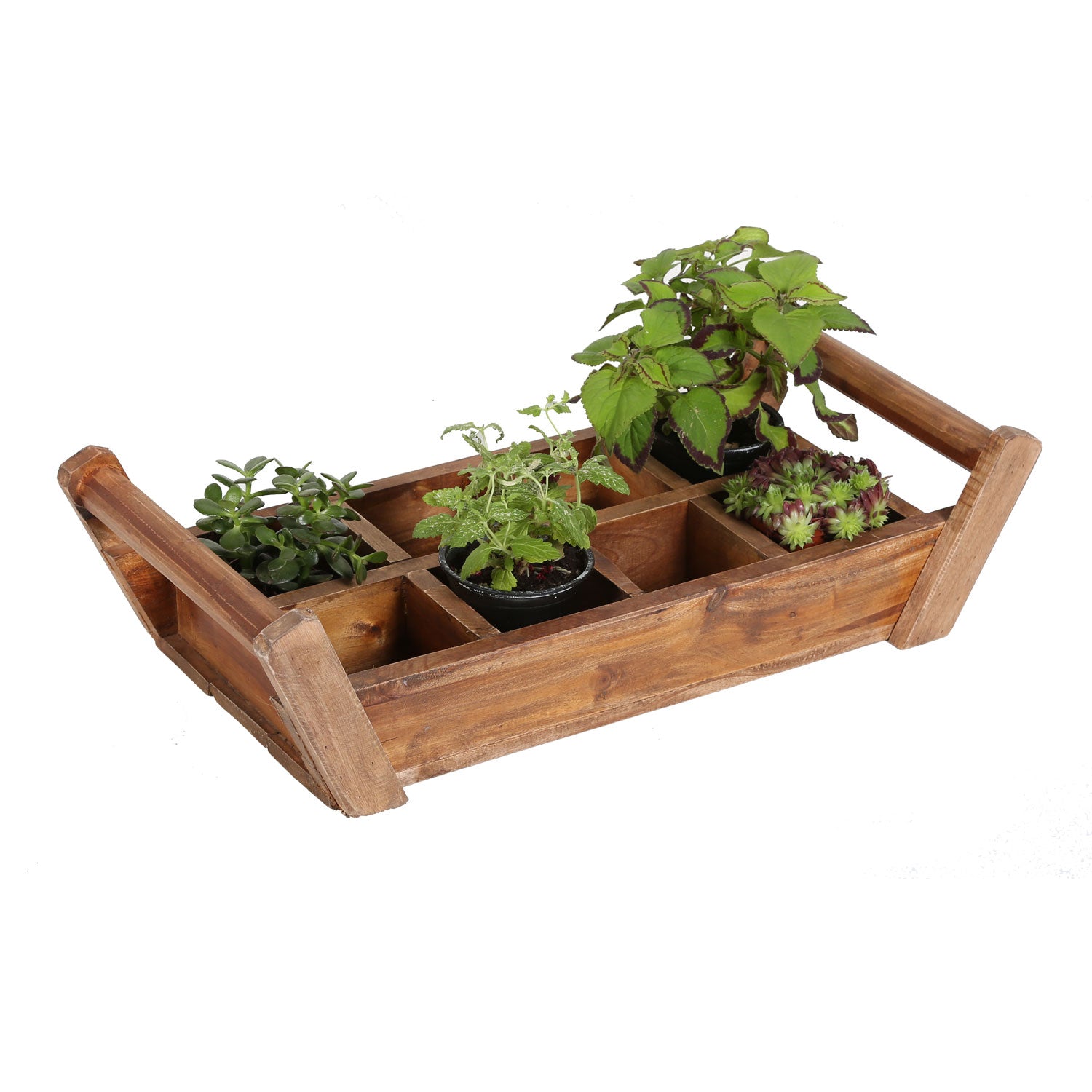 Pflanzenbox Gaia – CASA-MORO